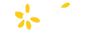 PIE