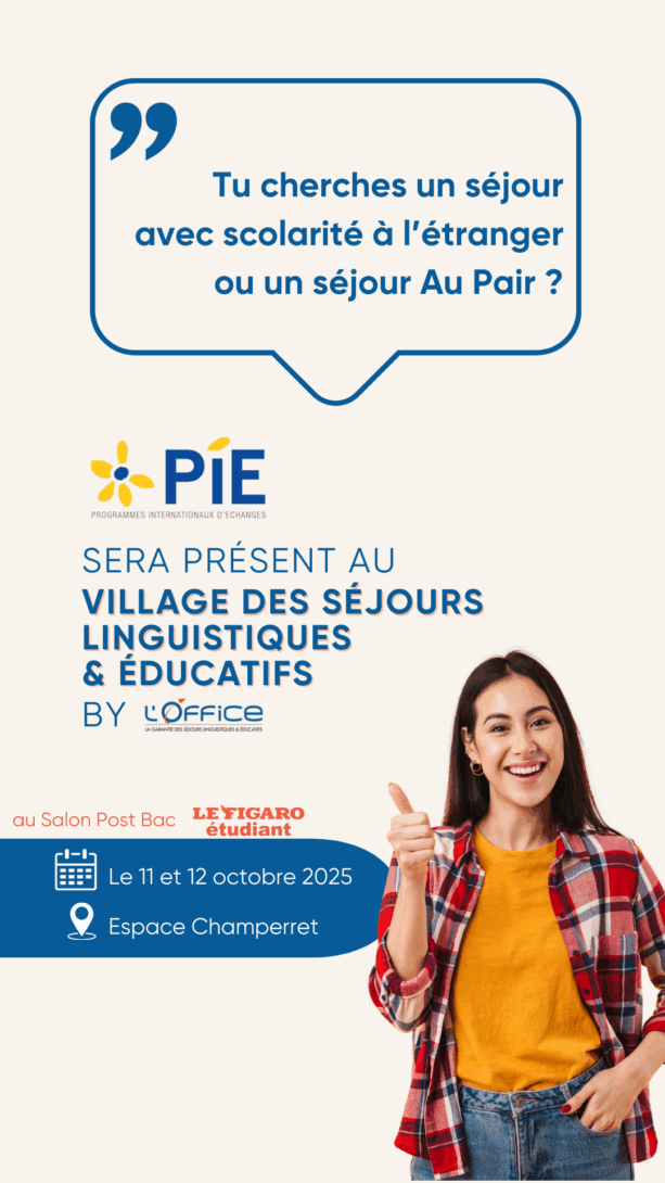 pie3