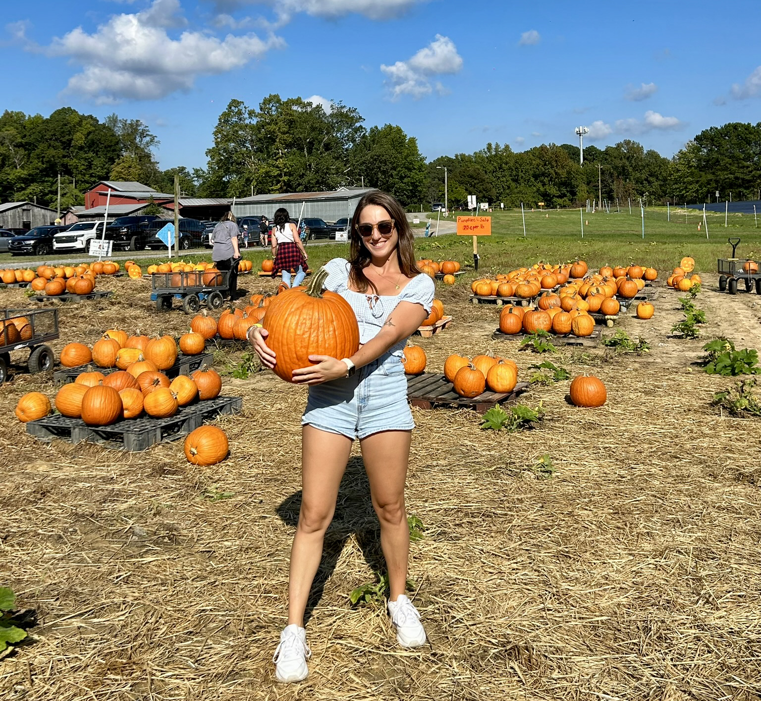 260204 ap chloe mange 1 site