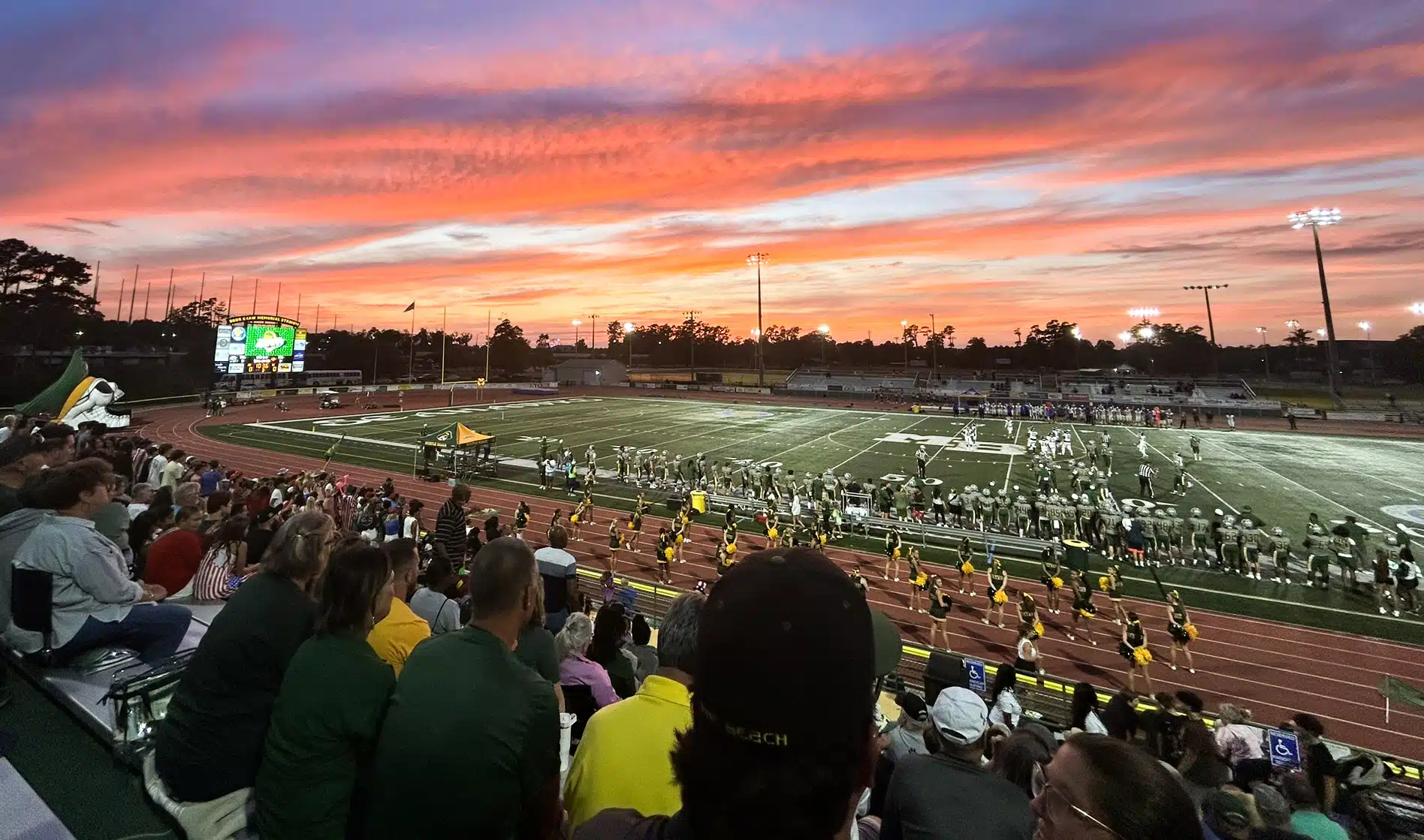 260204 ap chloe mange 5 site